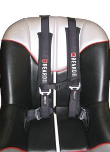 Beard Safety Harness 2x2 W/pads And Auto Style Buckle  