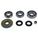 All Balls Front Differential Bearing Kit  Acid Concrete