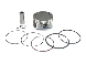 Namura Piston Kit 92.47/+0.50 Polaris  Acid Concrete